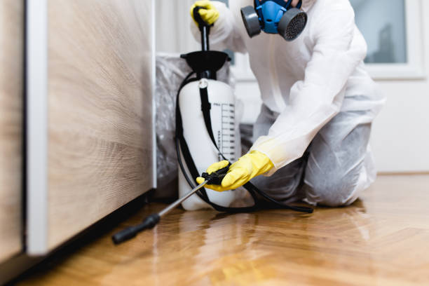Best Best Pest Control Companies  in Harsville, RI