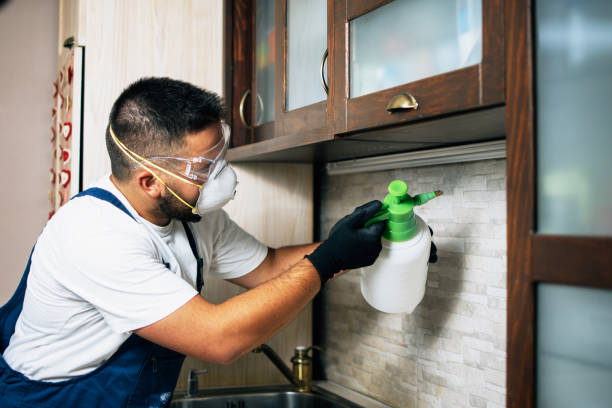 Best Insect Control  in Harsville, RI