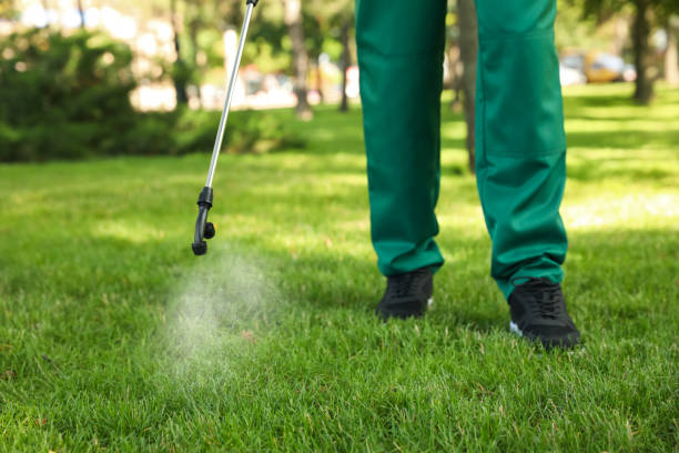 Best Affordable Pest Control Services  in Harsville, RI