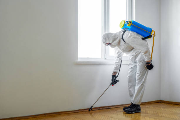 Best Pest Control Near Me  in Harsville, RI