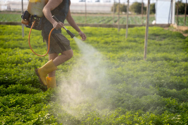Best Best Pest Control Companies  in Harsville, RI