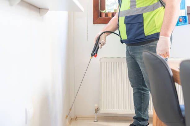 Best Rat Extermination Near Me  in Harsville, RI
