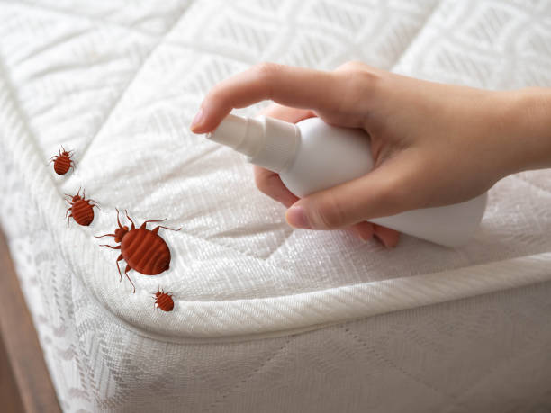 Best Pest Removal Services  in Harsville, RI
